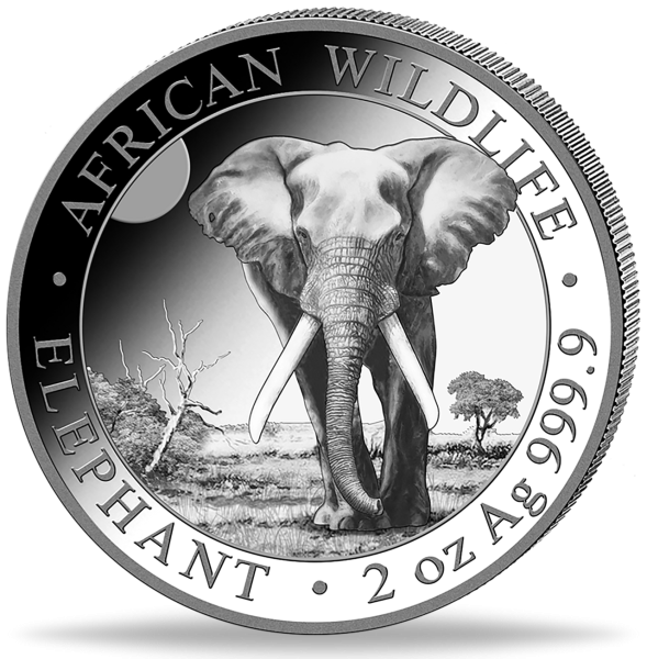 Somalia 200 Shilling Elefant 2 Unzen Silber 2025 - Münze Vorderseite
