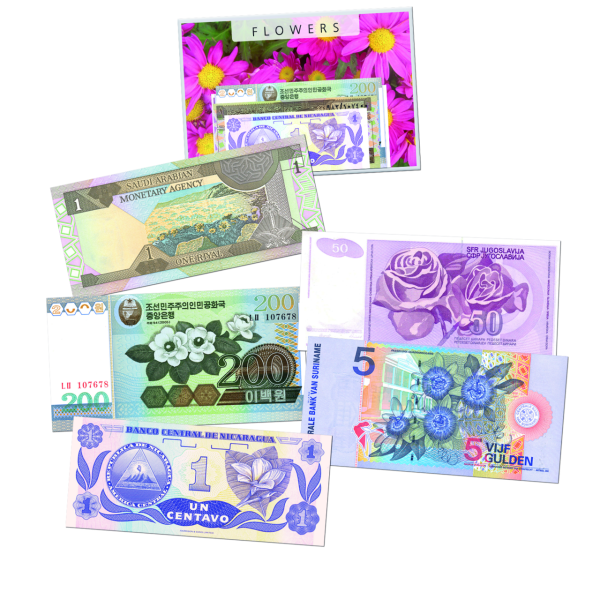 Banknoten-Satz Blumen